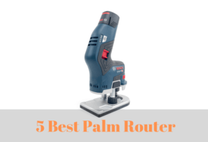 How to Choose the Best Palm Router for You In 2020 and Reviews