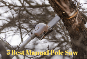 How to Choose the Best Manual Pole Saw for You In 2020 and Reviews